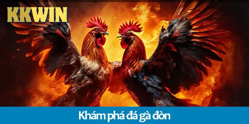 Đá gà đòn là gì? Sự khác biệt so với đá gà cựa dao trên KKWIN